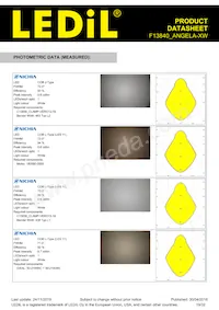 F13840_ANGELA-XW Datasheet Page 19