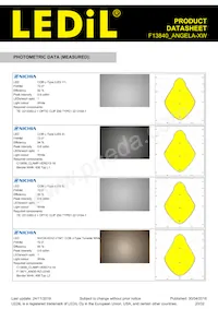 F13840_ANGELA-XW Datasheet Page 20