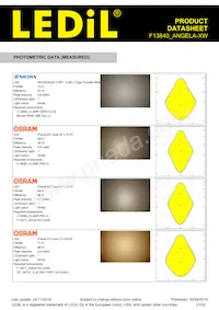 F13840_ANGELA-XW Datasheet Page 21