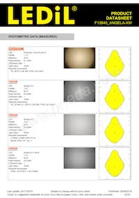 F13840_ANGELA-XW Datasheet Page 22