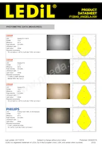 F13840_ANGELA-XW Datasheet Page 23