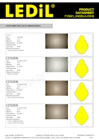 F13841_ANGELA-XW-B Datasheet Page 4