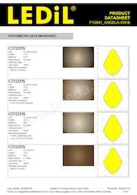 F13841_ANGELA-XW-B Datasheet Page 5