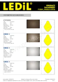 F13841_ANGELA-XW-B Datasheet Pagina 6