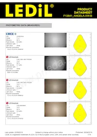 F13841_ANGELA-XW-B Datasheet Page 7