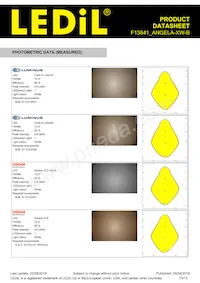 F13841_ANGELA-XW-B Datasheet Page 10