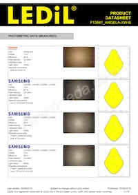 F13841_ANGELA-XW-B Datasheet Page 11