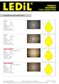 F13841_ANGELA-XW-B Datasheet Pagina 12