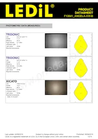 F13841_ANGELA-XW-B Datasheet Page 13