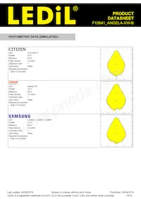 F13841_ANGELA-XW-B Datasheet Page 14