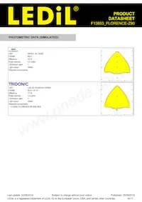 F13853_FLORENCE-Z90 Datasheet Page 16