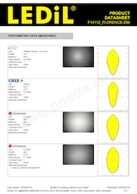 F14112_FLORENCE-Z60 Datasheet Pagina 3