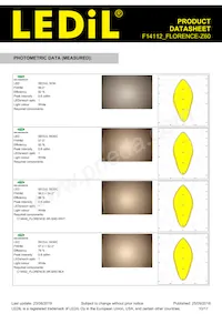 F14112_FLORENCE-Z60 Datasheet Pagina 10