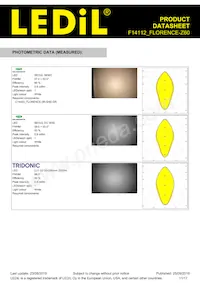 F14112_FLORENCE-Z60 Datasheet Page 11