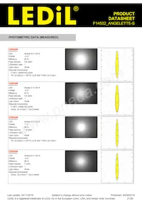 F14532_ANGELETTE-S Datasheet Page 21