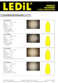 F14533_ANGELETTE-M Datasheet Page 8