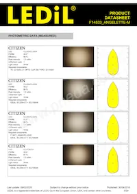 F14533_ANGELETTE-M Datasheet Pagina 9