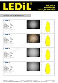 F14533_ANGELETTE-M Datasheet Page 11