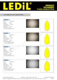 F14533_ANGELETTE-M Datasheet Pagina 13