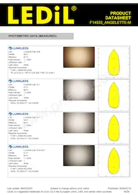 F14533_ANGELETTE-M Datasheet Page 16