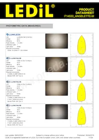 F14533_ANGELETTE-M Datasheet Pagina 17