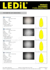 F14533_ANGELETTE-M Datasheet Page 18