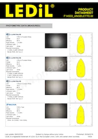 F14533_ANGELETTE-M Datasheet Page 19