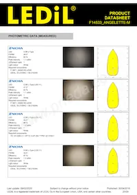 F14533_ANGELETTE-M Datasheet Page 20