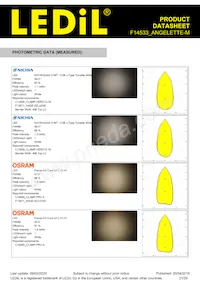 F14533_ANGELETTE-M Datasheet Page 21