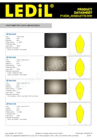 F14534_ANGELETTE-WW Datasheet Page 20