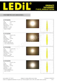 F14616_ANGELETTE-S-B Datasheet Page 4