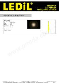 F14616_ANGELETTE-S-B Datasheet Page 9