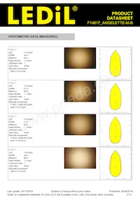 F14617_ANGELETTE-M-B Datasheet Pagina 3