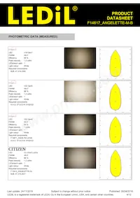 F14617_ANGELETTE-M-B Datasheet Pagina 4