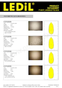 F14617_ANGELETTE-M-B Datasheet Page 5