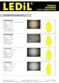 F14617_ANGELETTE-M-B Datasheet Page 9