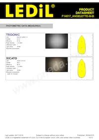 F14617_ANGELETTE-M-B Datasheet Pagina 10