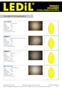 F14618_ANGELETTE-WW-B Datasheet Page 5