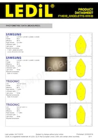 F14618_ANGELETTE-WW-B Datasheet Page 8