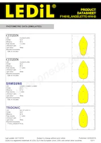 F14618_ANGELETTE-WW-B Datasheet Page 10