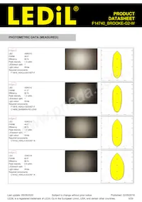 F14740_BROOKE-G2-W Datasheet Page 5