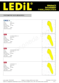 F16000_LINNEA-ZT25-B Datasheet Pagina 3