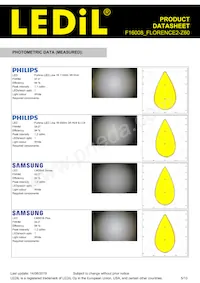 F16008_FLORENCE2-Z60 Datasheet Page 5