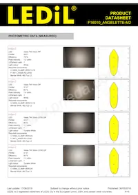 F16010_ANGELETTE-M2 Datasheet Page 4