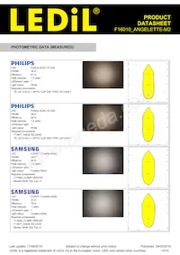 F16010_ANGELETTE-M2 Datasheet Page 13