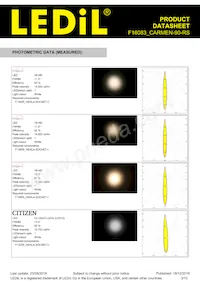 F16083_CARMEN-90-RS Datasheet Page 3