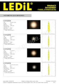 F16083_CARMEN-90-RS Datasheet Pagina 4