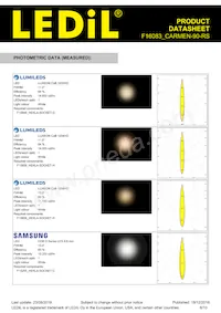 F16083_CARMEN-90-RS Datasheet Page 6