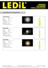 F16083_CARMEN-90-RS Datasheet Page 8