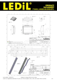 F16454_LINNEA-60-END-B-FL Datasheet Page 2